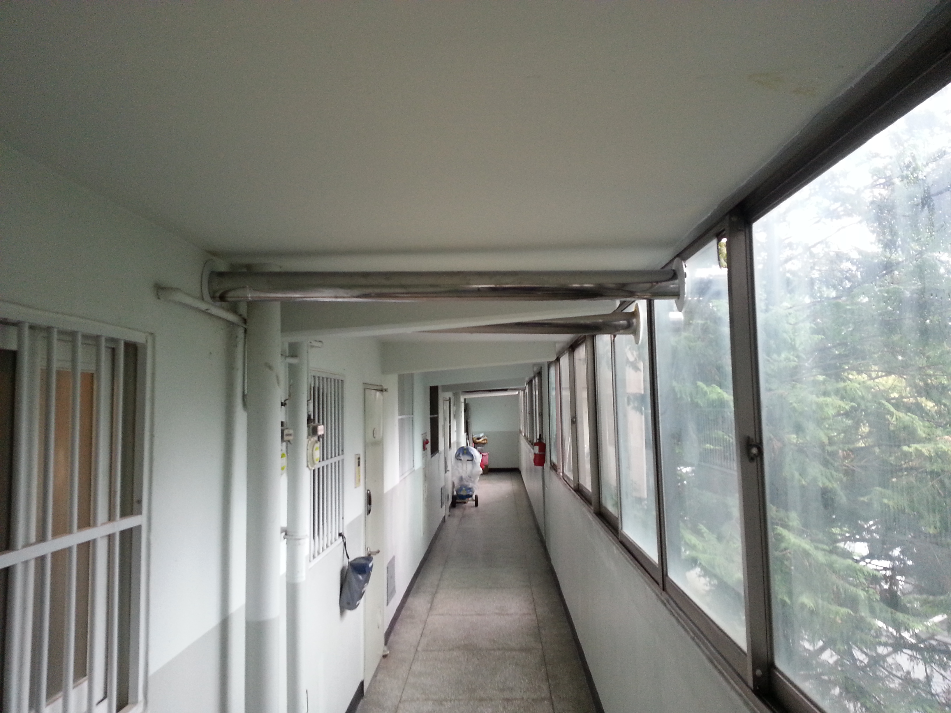 20140706_111410.jpg